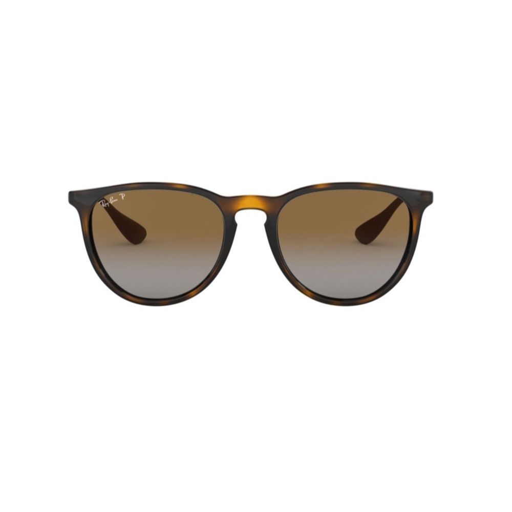 Ray-Ban Erika Sunglasses